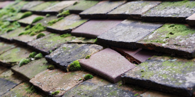 Failand roof repair costs